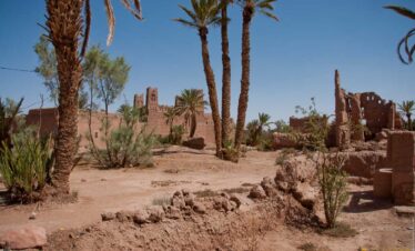 Date palms and earthen homes in desert oasis