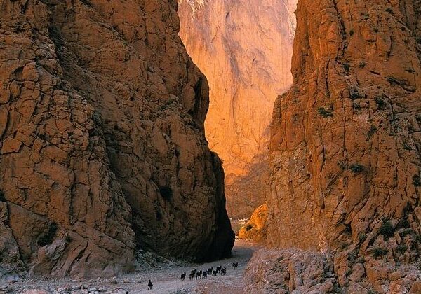 Orange cliffs of Dades Gorge glowing in sunset light.