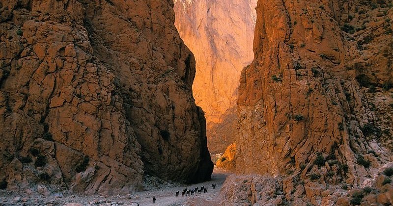 Orange cliffs of Dades Gorge glowing in sunset light.