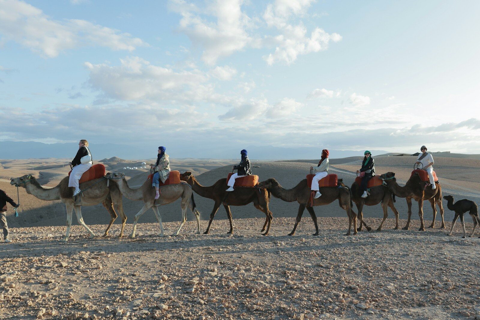 People are riding camels through the desert. Agafay Desert