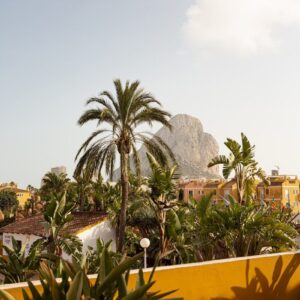 Spain to Morocco green palm trees near brown concrete building during daytime