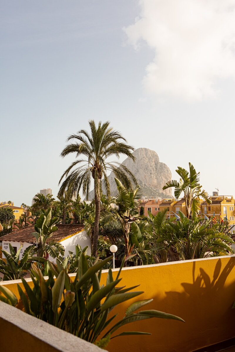 Spain to Morocco green palm trees near brown concrete building during daytime