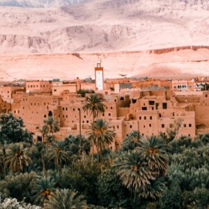 Desert village with palm trees and mountains.
