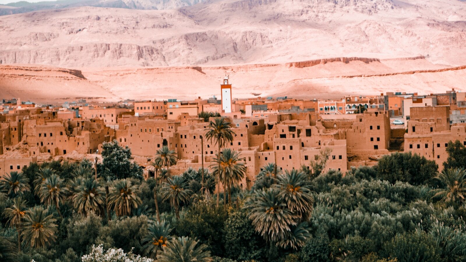 Desert village with palm trees and mountains.