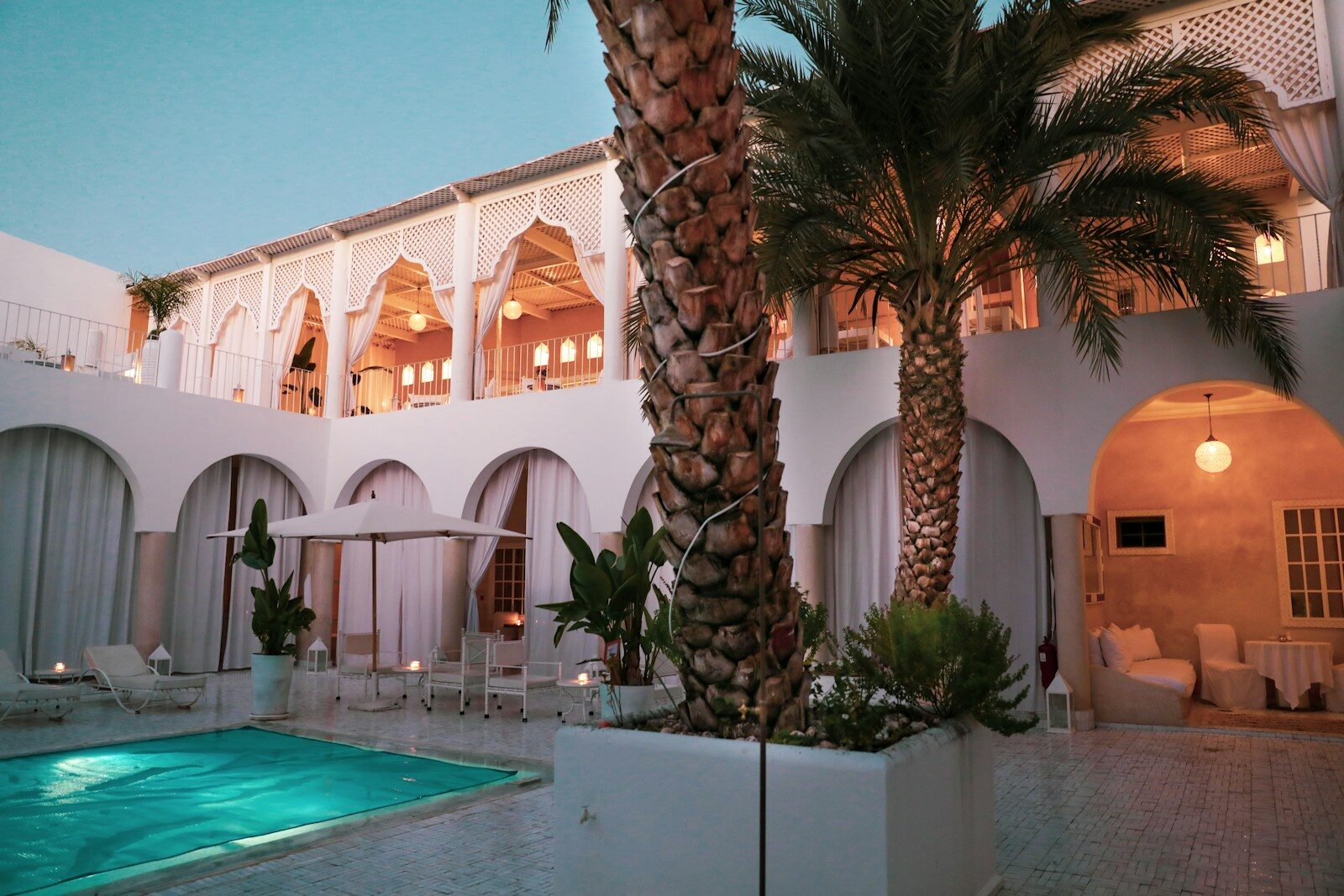 Luxury Events Morocco palm tree near swimming pool