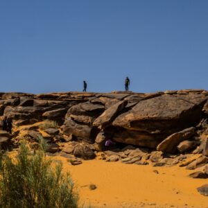 Sahara Desert Tours people walking on brown sand during daytime