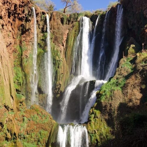 waterfalls in the middle of the forest during daytime