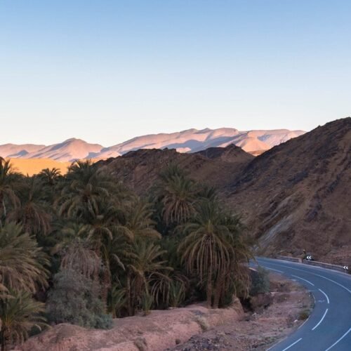 a winding road surrounded by palm trees and mountains
