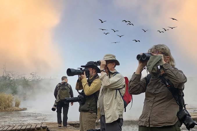 Birdwatching & Wildlife