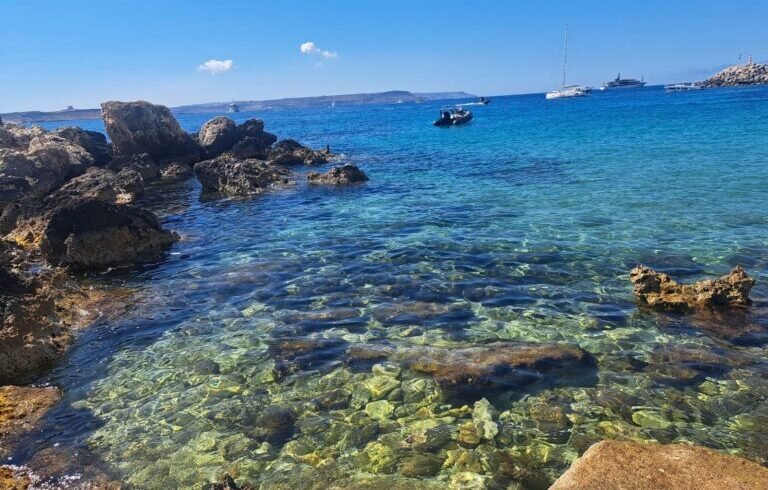 Coastal & Marine Experiences