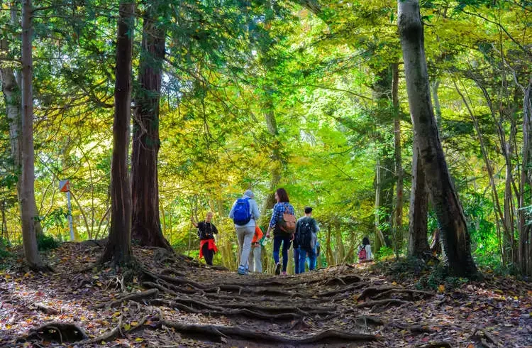 Day Hiking & Nature Walks