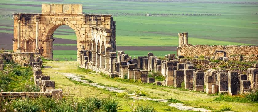 Volubilis’s