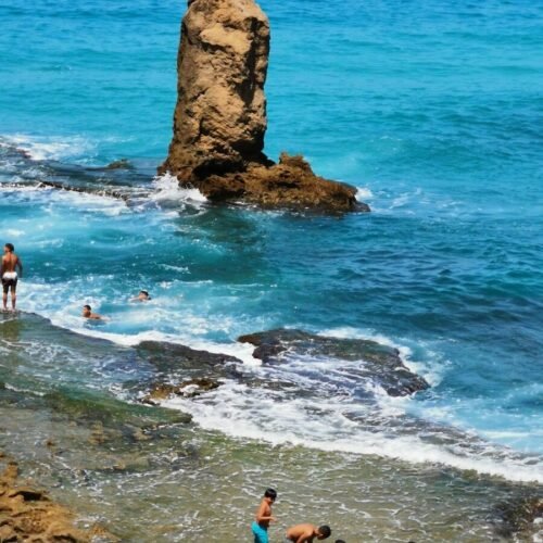 people on beach during daytime