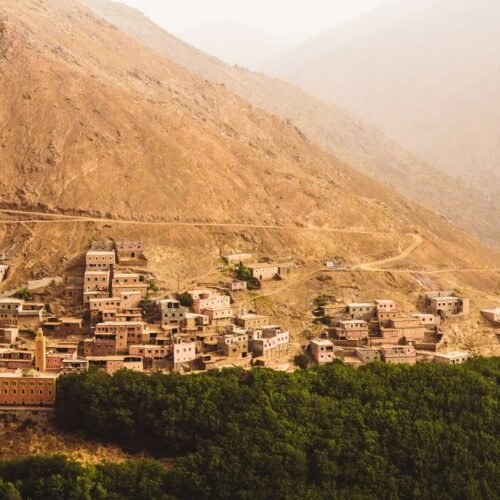 photo of brown houses surrounded by green trees