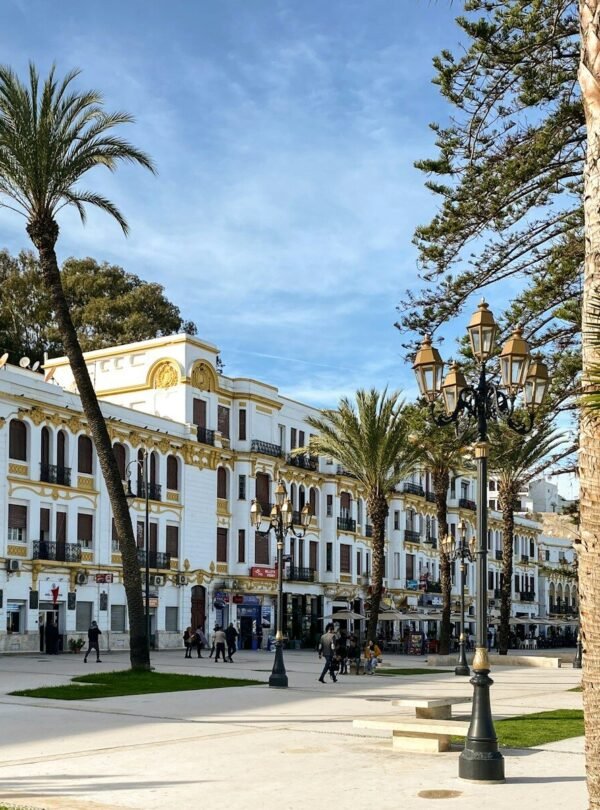 a large white building surrounded by palm trees