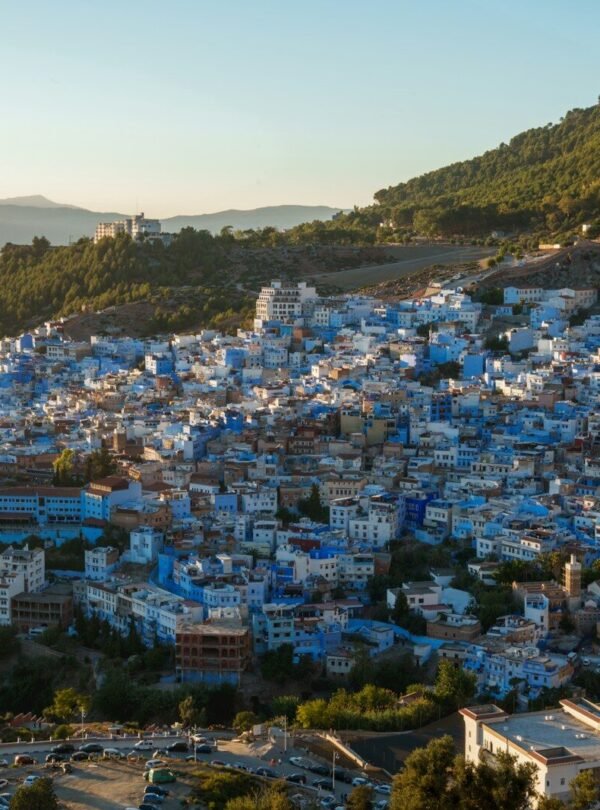 a view of the blue city of jodhpur