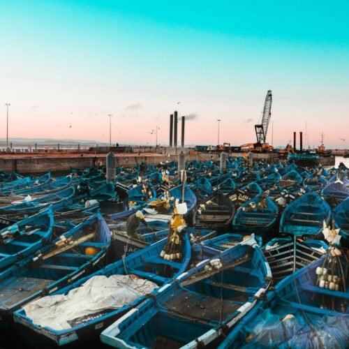 blue and white boats on dock during daytime