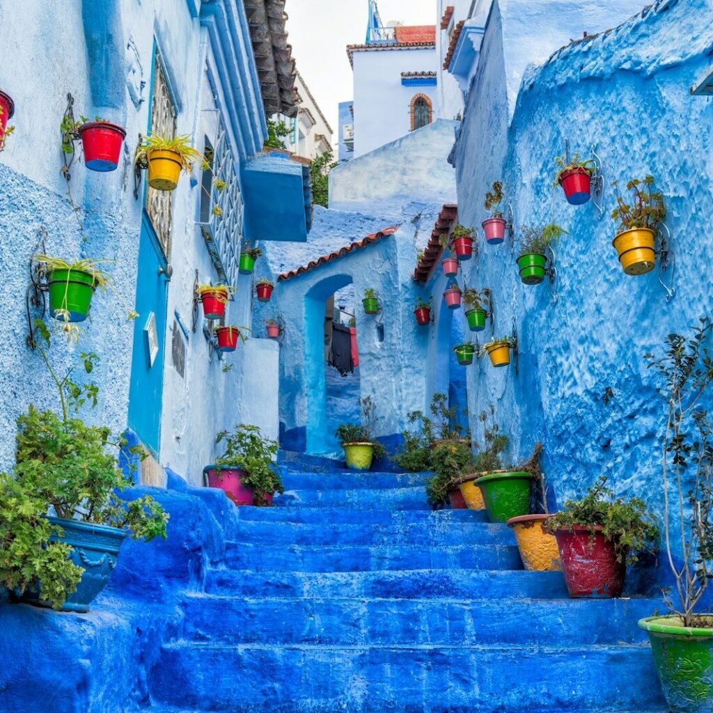 a narrow street with blue steps and potted plants
