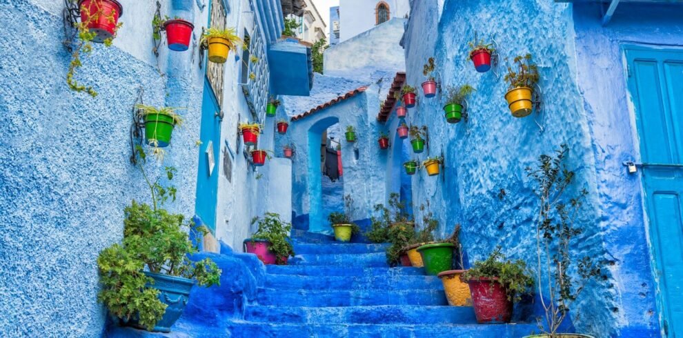 a narrow street with blue steps and potted plants