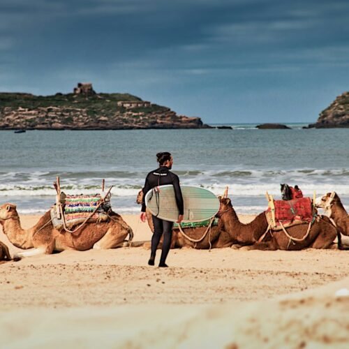 man in blue shirt riding brown camel on beach during daytime