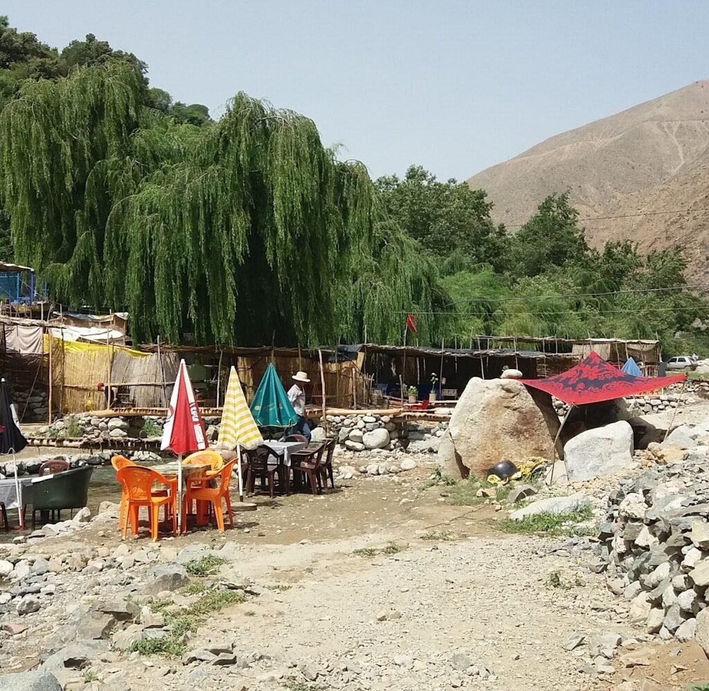 a horse and some tents