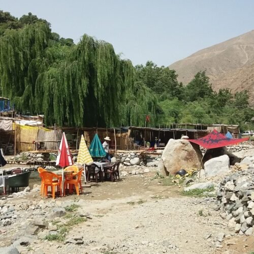 a horse and some tents