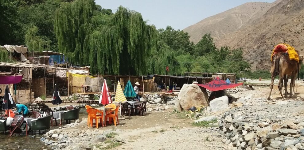 a horse and some tents