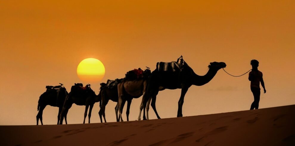 a person leading a group of camels on a sandy beach