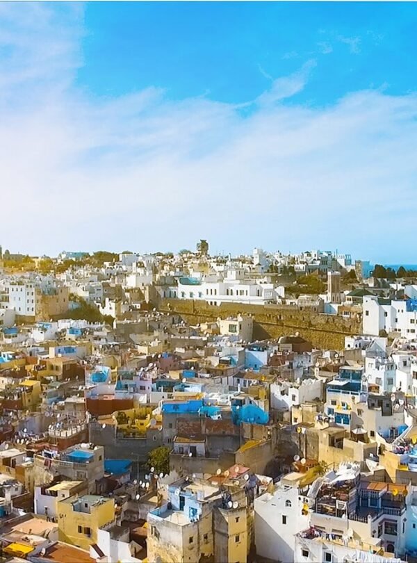 areal view of white and blue houses