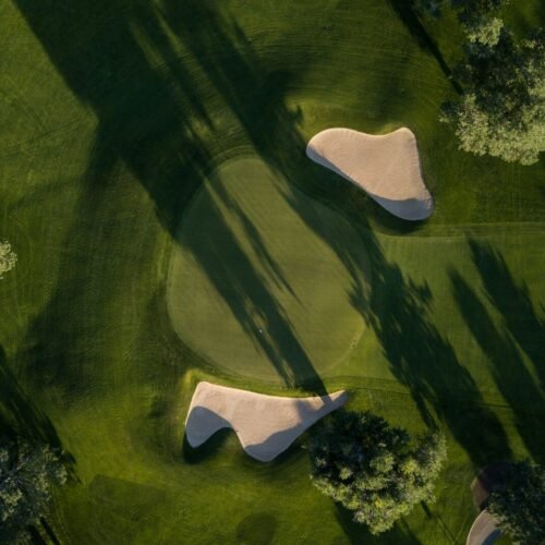 bird's eye photo of grass field