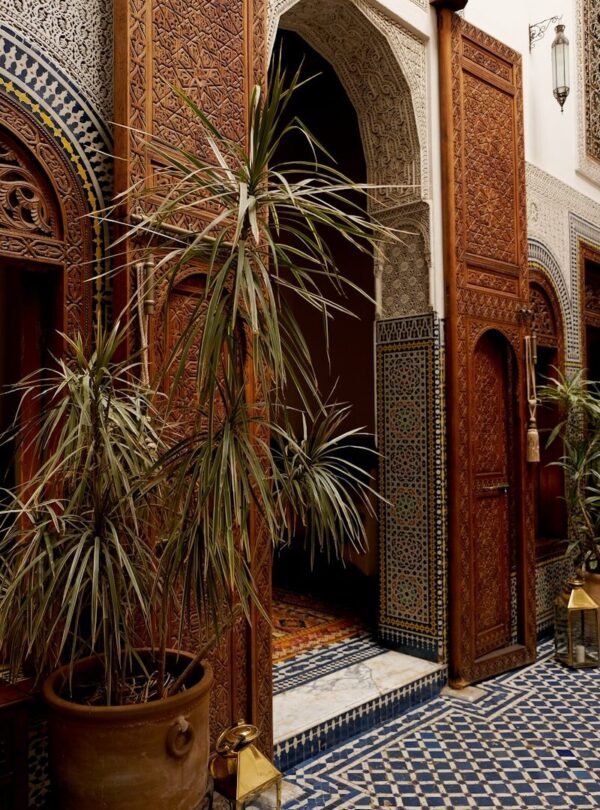 green plan in pot beside door