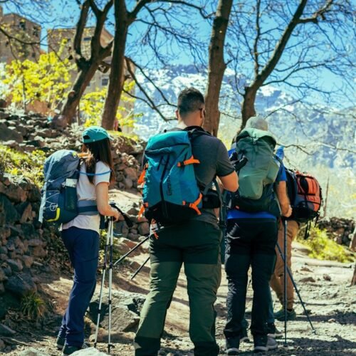 a group of hikers trekking up a rocky trail