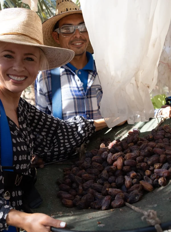 Harvest dates.