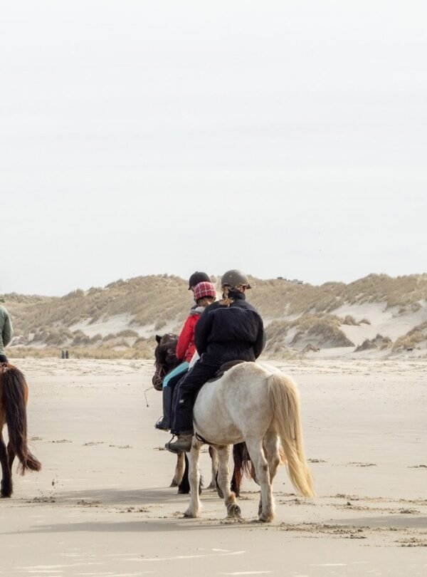 man in blue jacket riding white horse on white sand during daytime