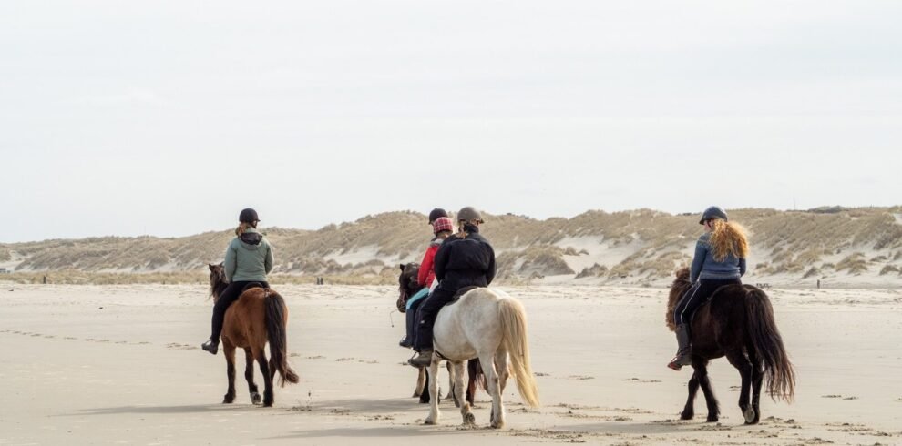 man in blue jacket riding white horse on white sand during daytime