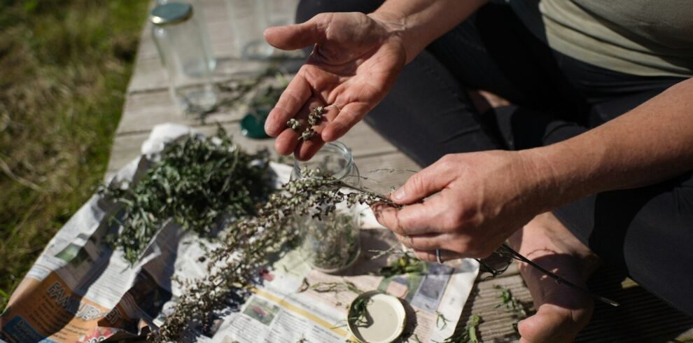 a person sitting on a table with a bunch of plants