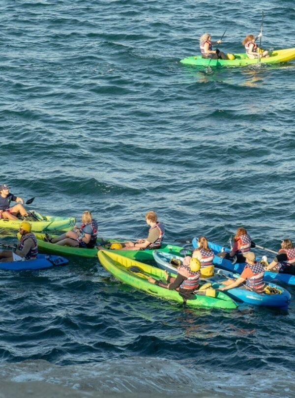 Several kayaks with people paddling on the ocean.