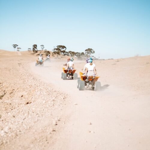 people riding motorcycle on brown sand during daytime
