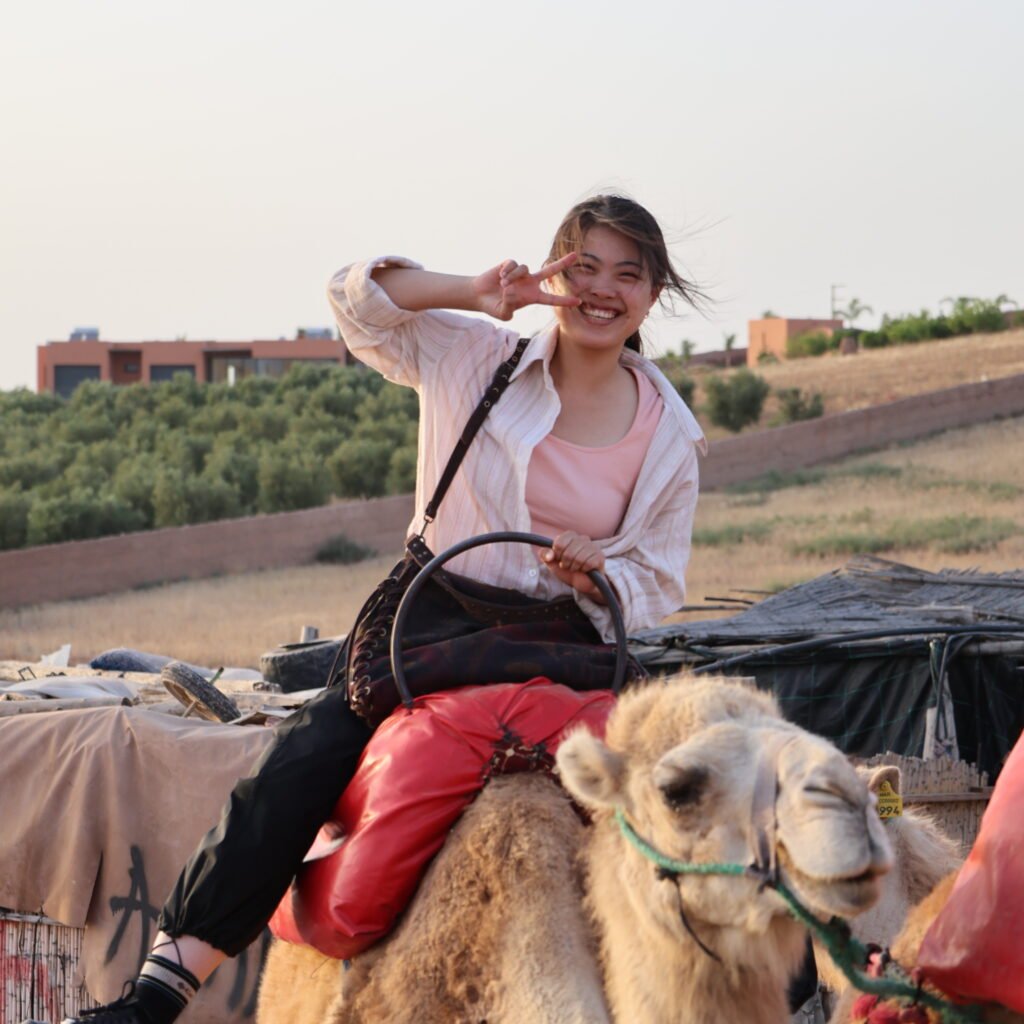camel