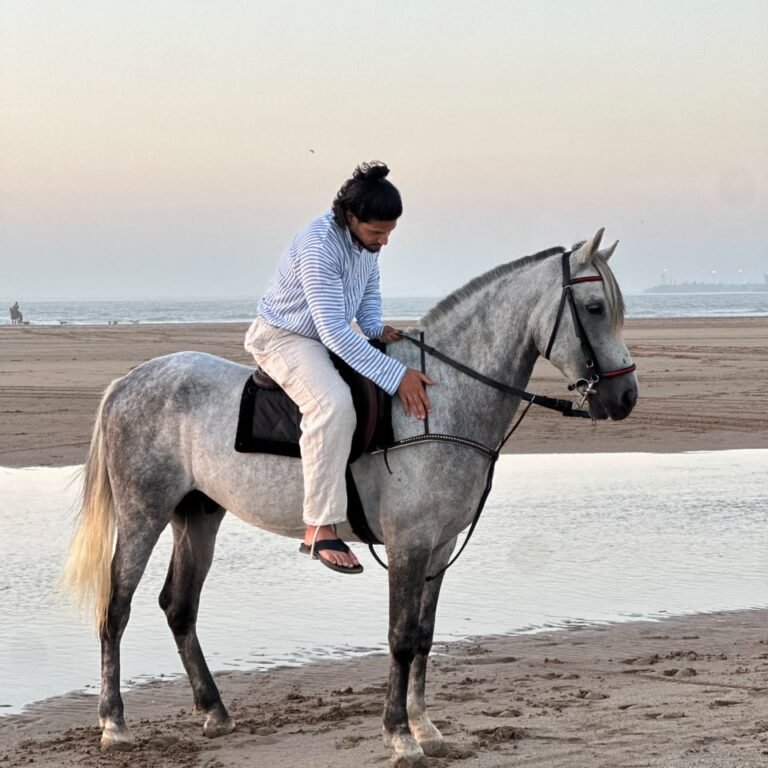 Man riding a white horse along the wet sand shore during sunset in Morocco