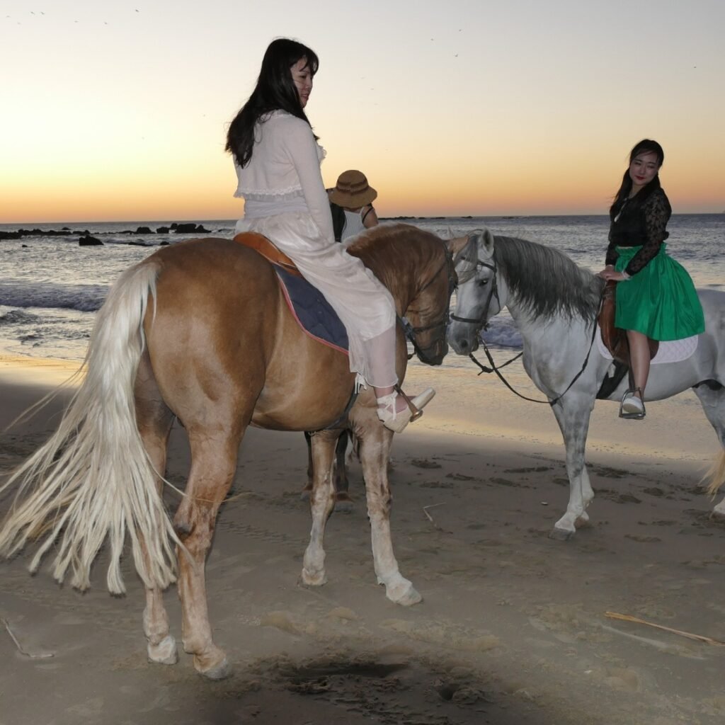 Two women riding horses on the beach at sunset