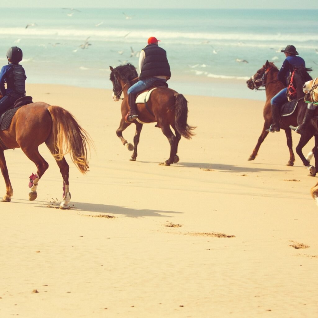 Group of horseback riders galloping along a sandy beach near the ocean