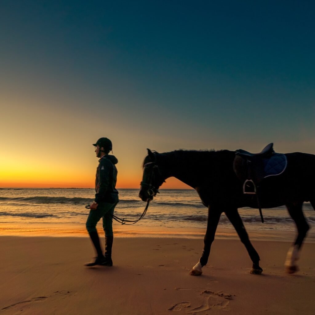 Silhouette of a horseback rider walking with a black horse along the beach shoreline at sunset