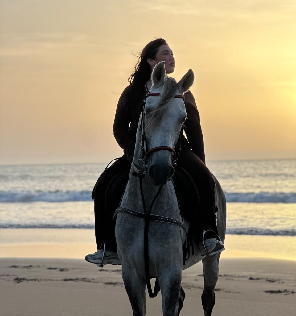 Rider on a white horse on an ocean beach during golden hour