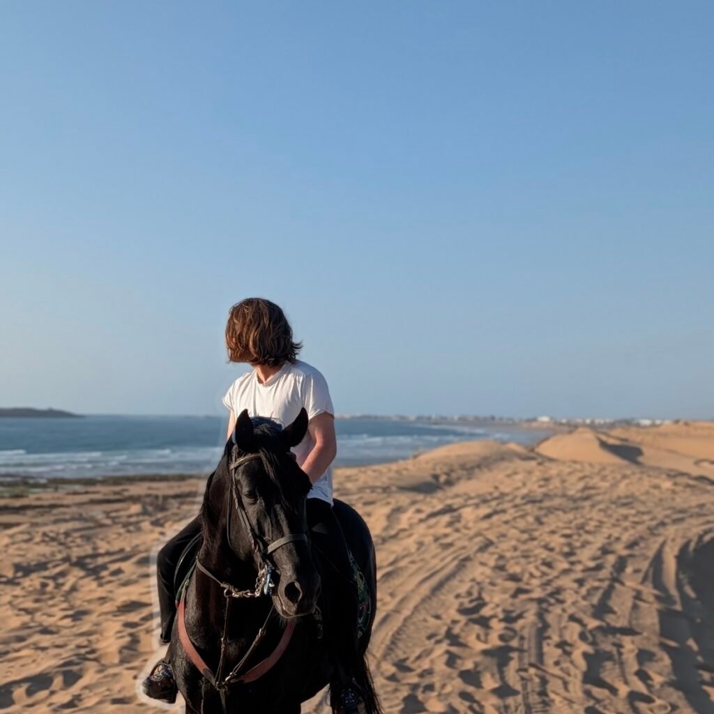 Rider on a black horse looking out over the ocean and coastal sand dunes in Morocco