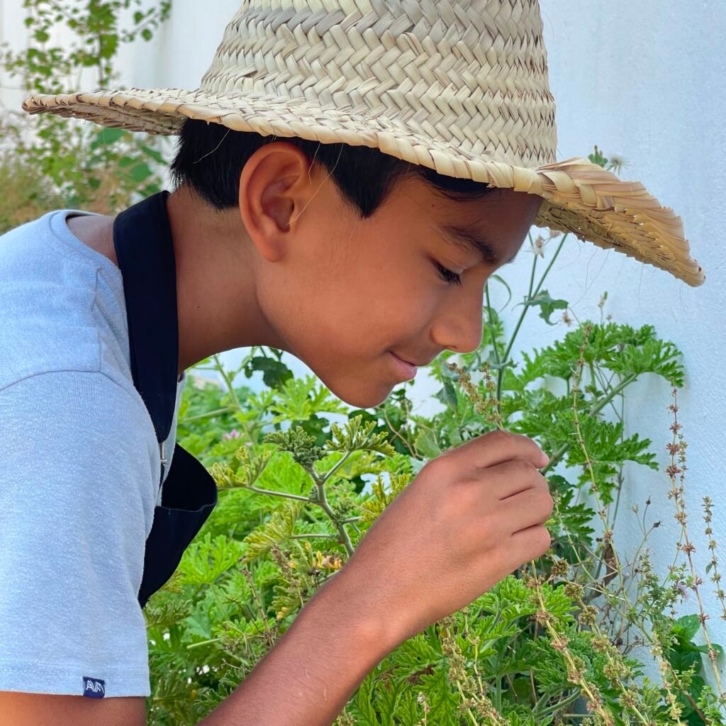Young boy wearing a woven straw hat smelling fresh herbs in an outdoor garden