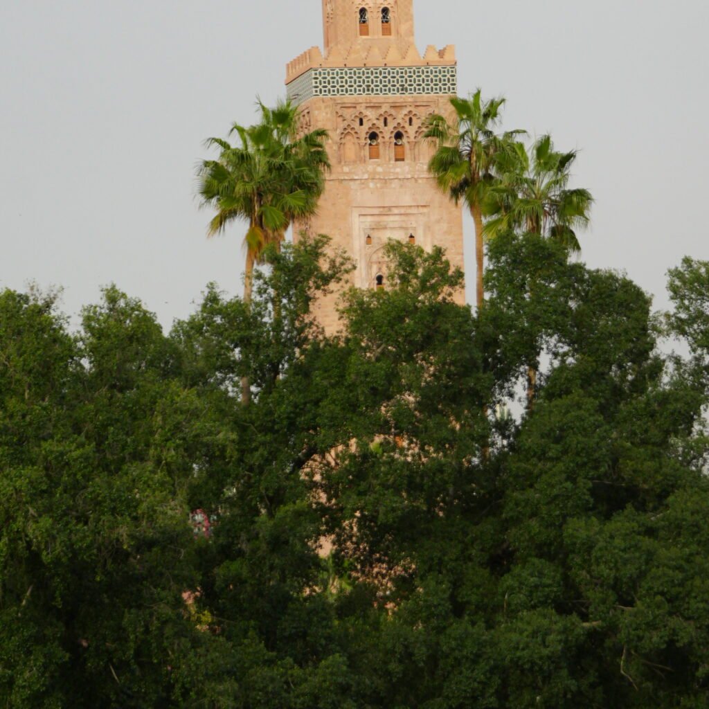 Tower surrounded by lush greenery