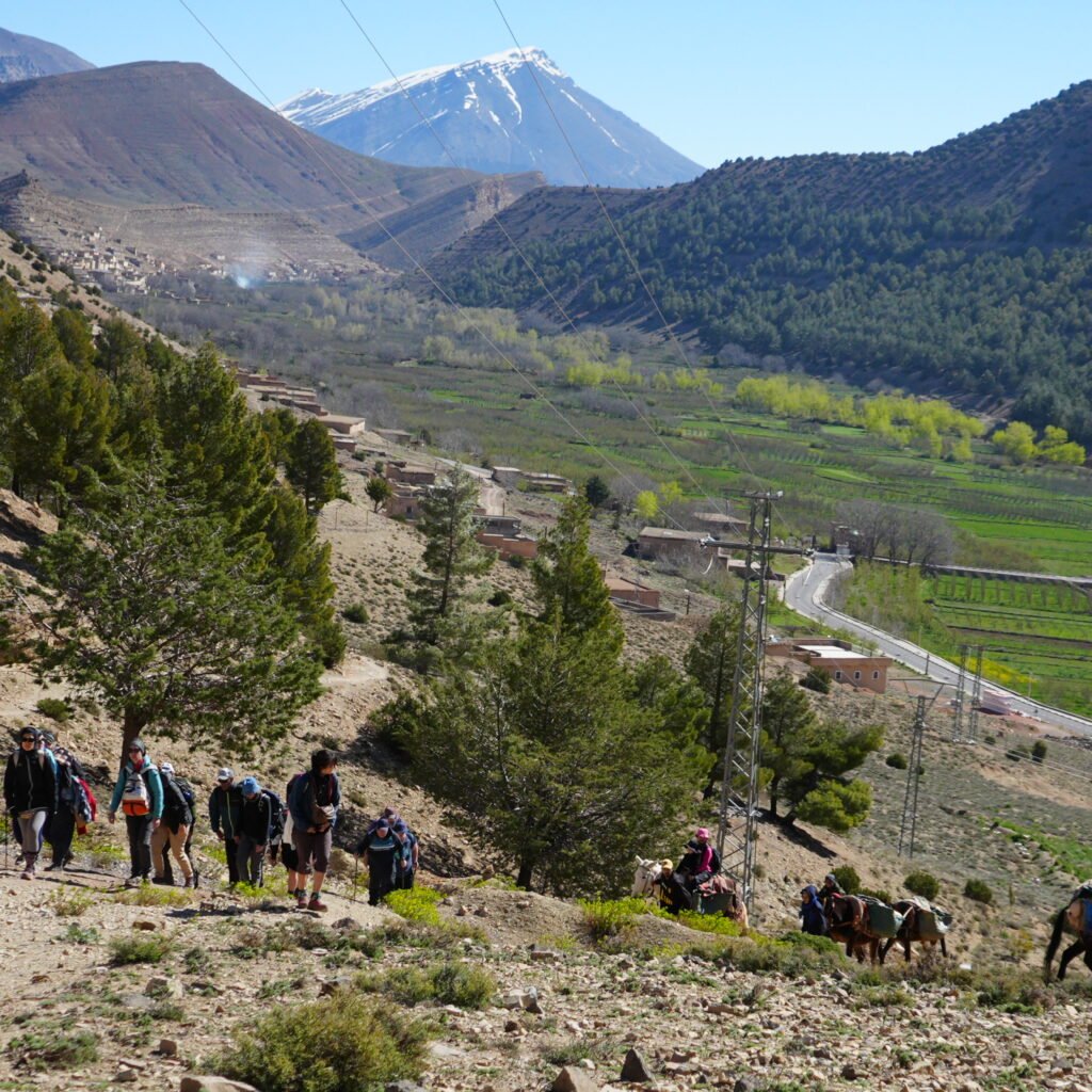 High Atlas Adventure – 13 Days of Trekking and Discovery