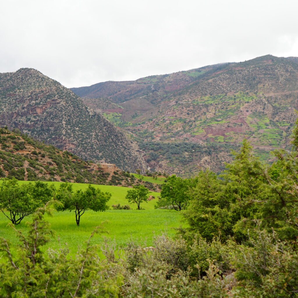 High Atlas Adventure – 13 Days of Trekking and Discovery