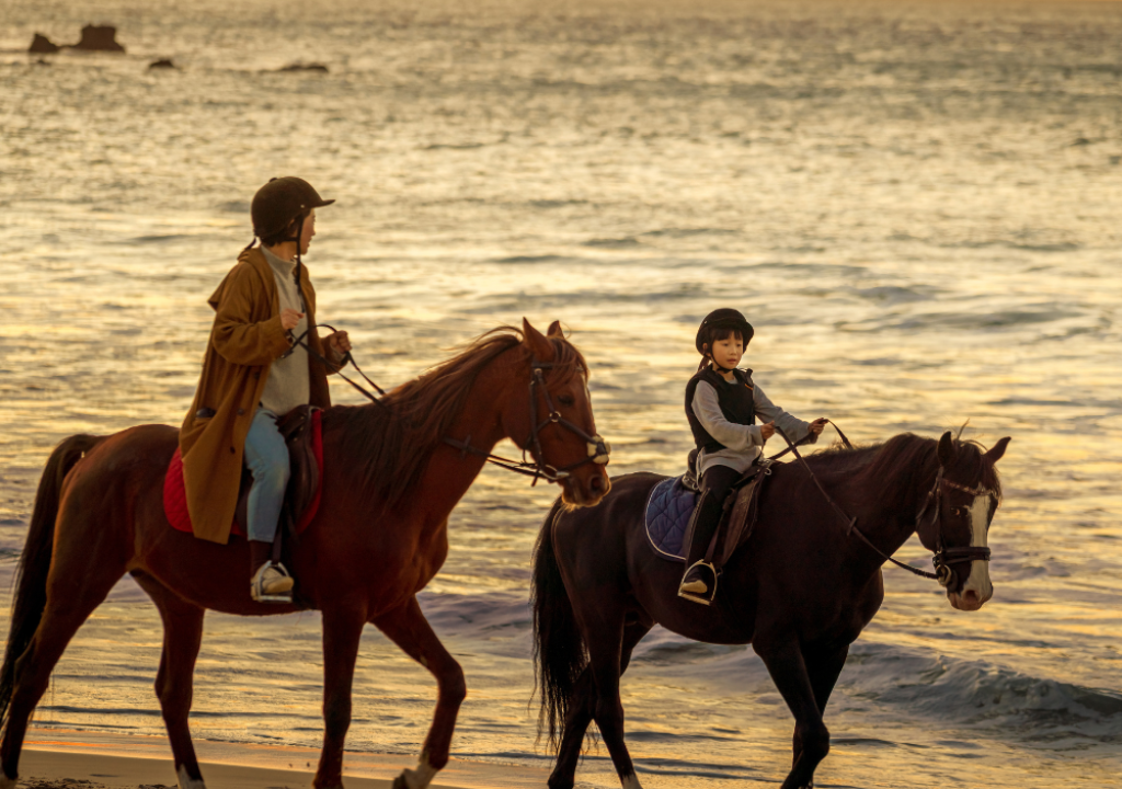 An adult and child wearing riding helmets horseback riding along the ocean shoreline during a warm sunset